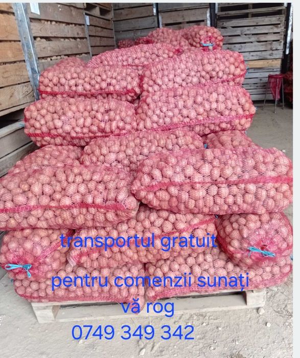 Cartofi de sămânță