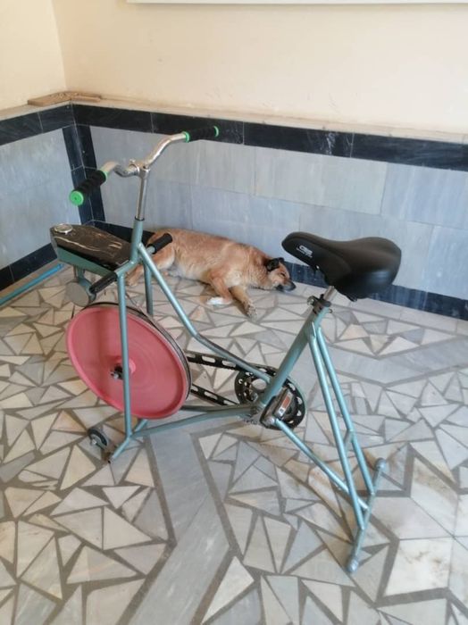 Велосипед тренажор