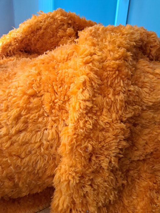 Китеник, губер дългокосмест