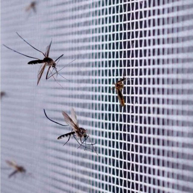 Москитная сетка и жалюзи