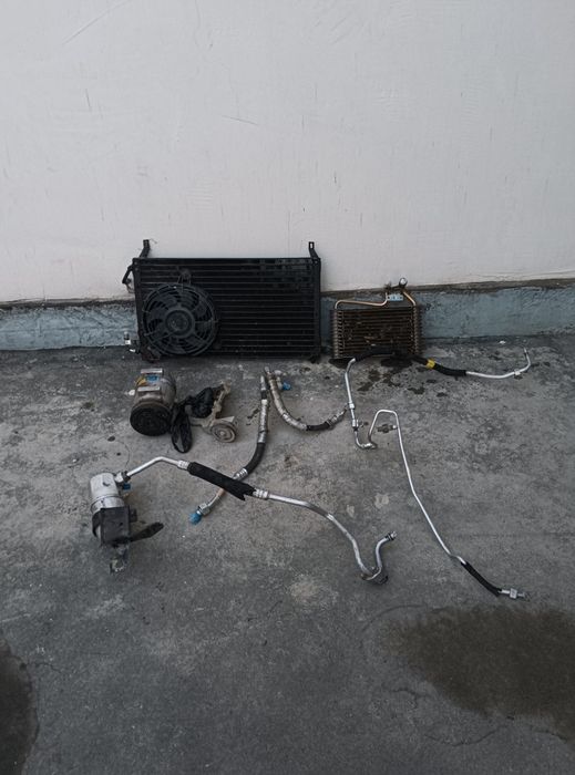 Nekisiya  kandisiyoner kamplet gm