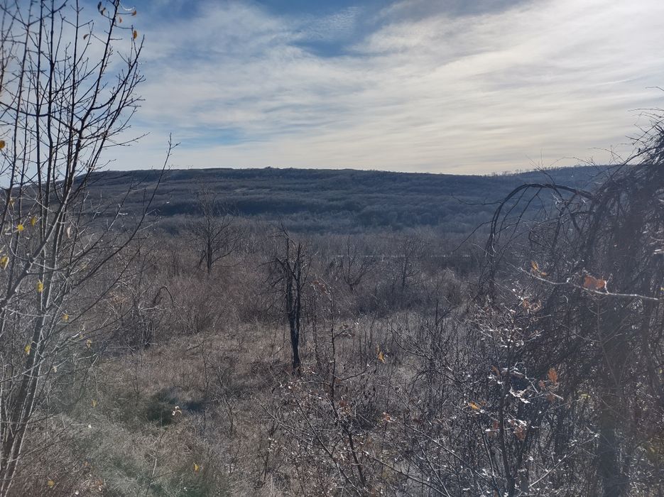 Земеделски имот Шереметя