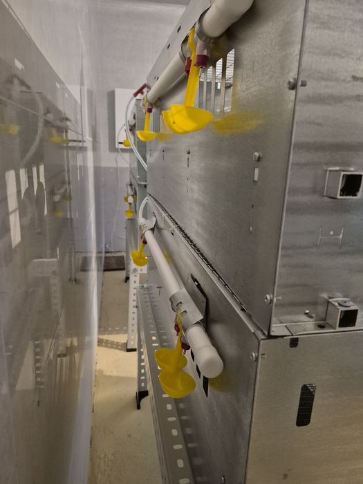 Клетка для перепелов