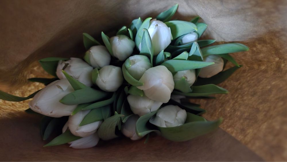 Тюльпаны оптом Алматы