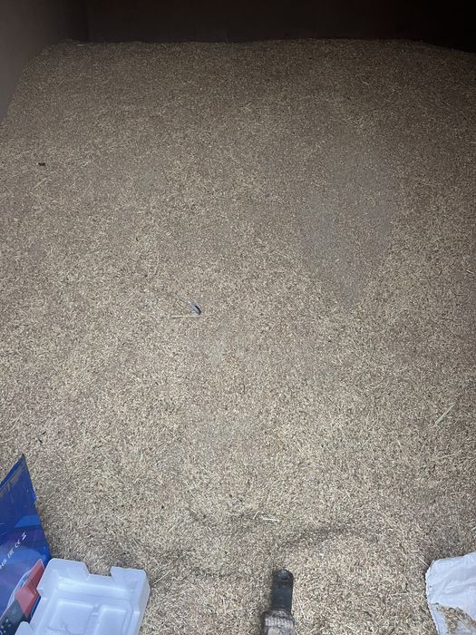 Сечка бидай сатылады