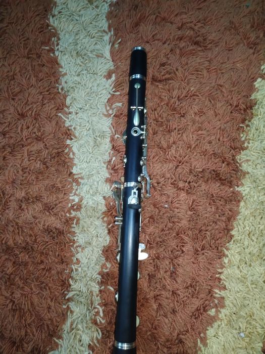 Vand clarinet parrot