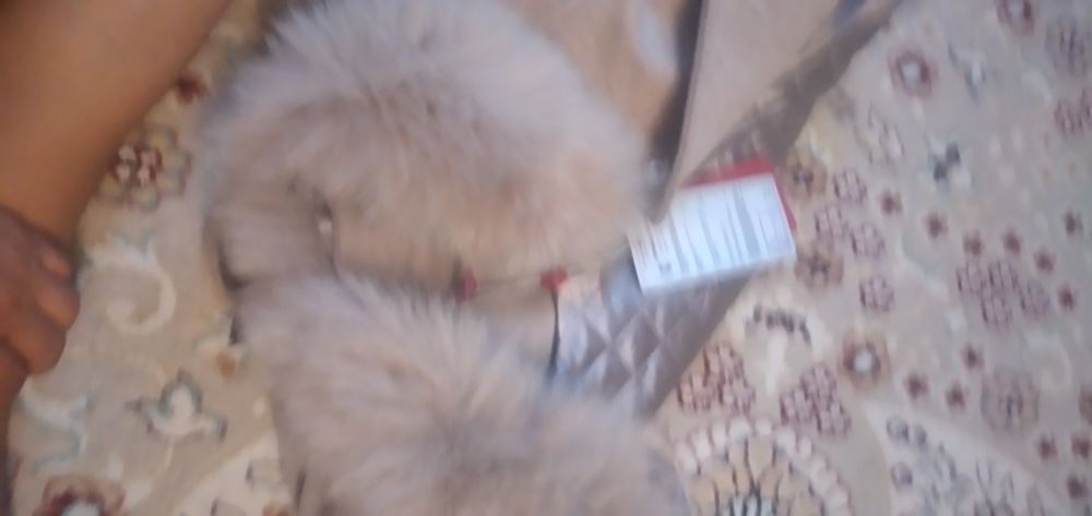 Пальто  женские новый