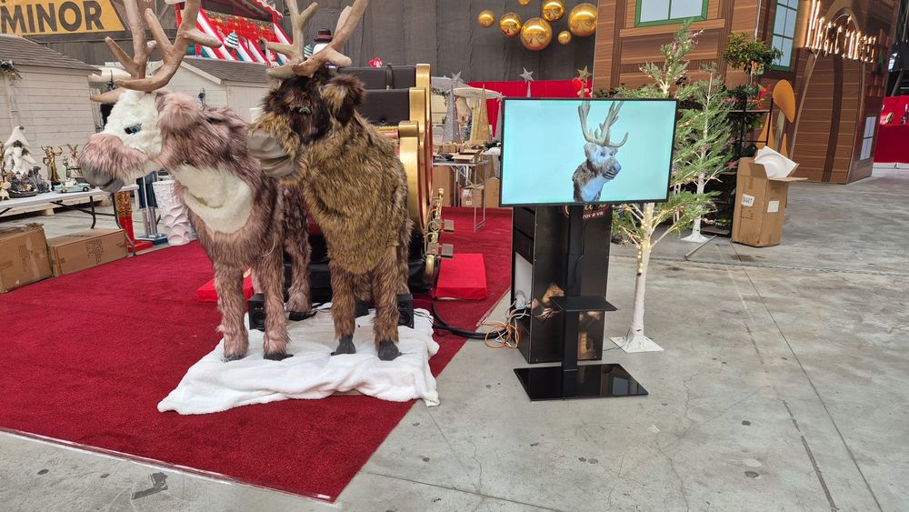 Sania lui Mos Craciun VR