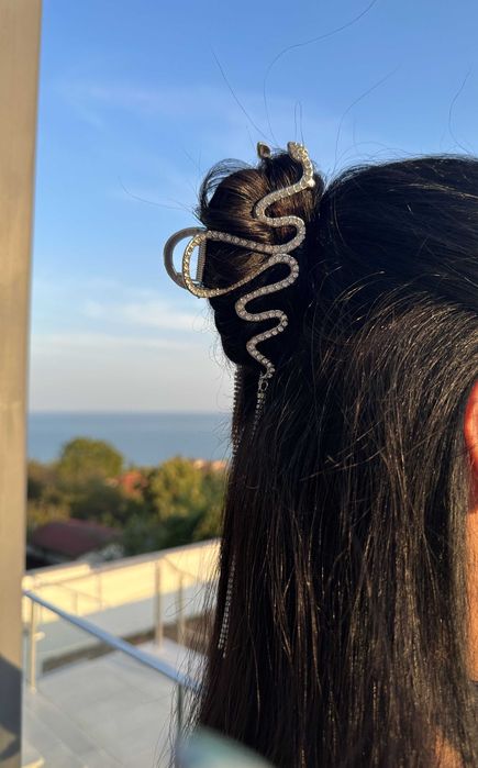 Шноли бижу за вашия повод