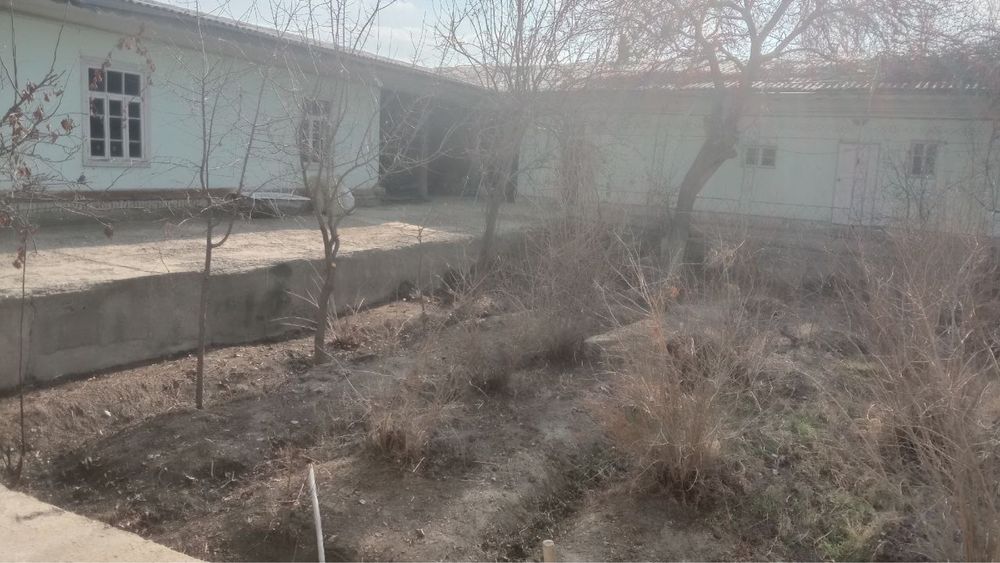 Gijduvonda 5.5 so’tiq xovli sotiladi