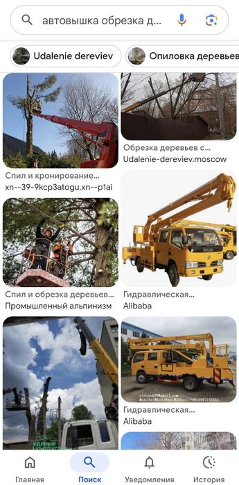 Спиливание и обрезка деревьев. Уборка. Вывоз.