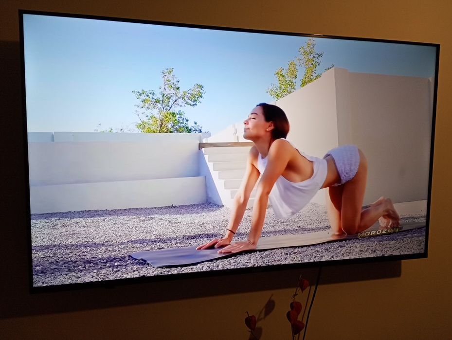 Телевизор Hair 55