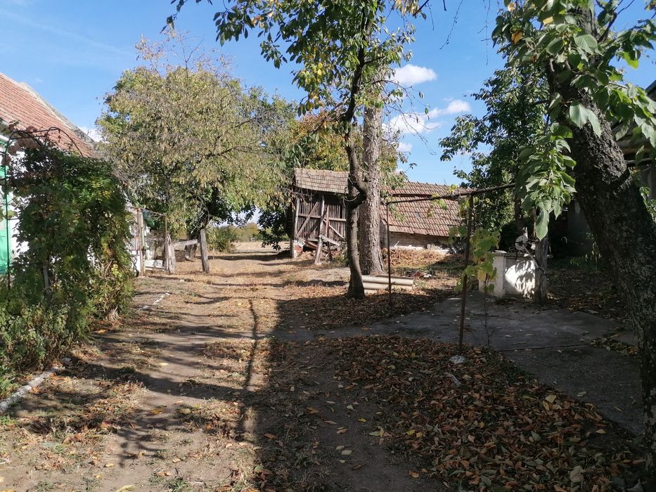 Casă spațioasă cu farmec tradițional în Mailat