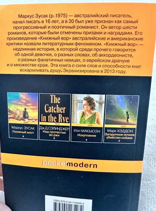 Книга. Книжный вор