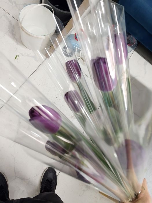 Тюльпаны самые лучшие в Актау