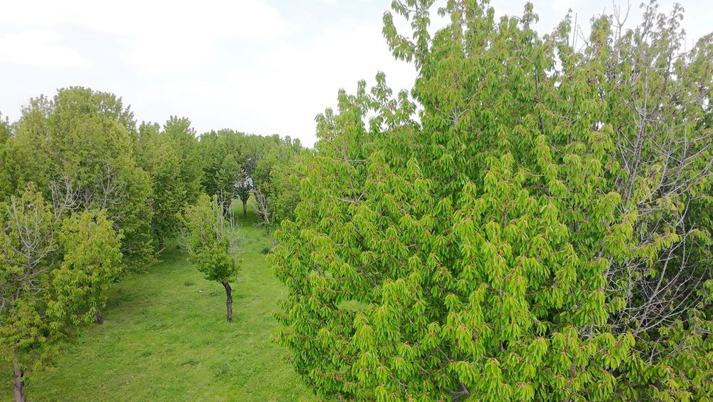 Продаётся уютная дача с большим земельным участком