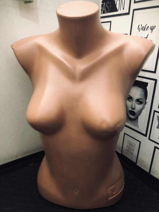 Дамски и мъжки торсове