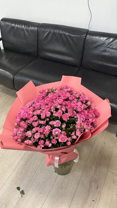 Куставой роза софи арзан бағаға