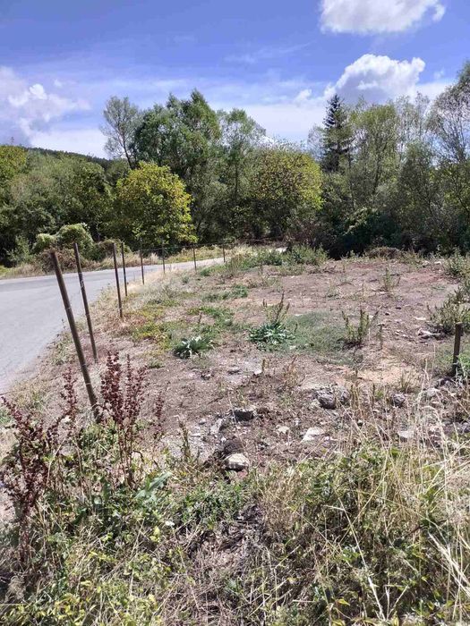 Продавам имот в с.Арзан