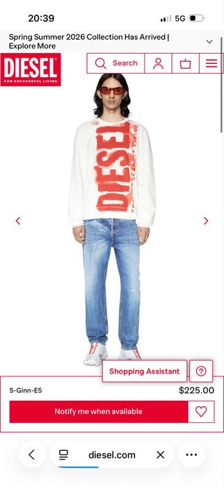 Блуза (Sweatshirt) Diesel - размер L