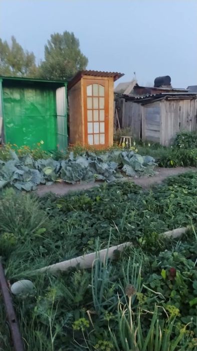 Продаю дачу в обществе Алма