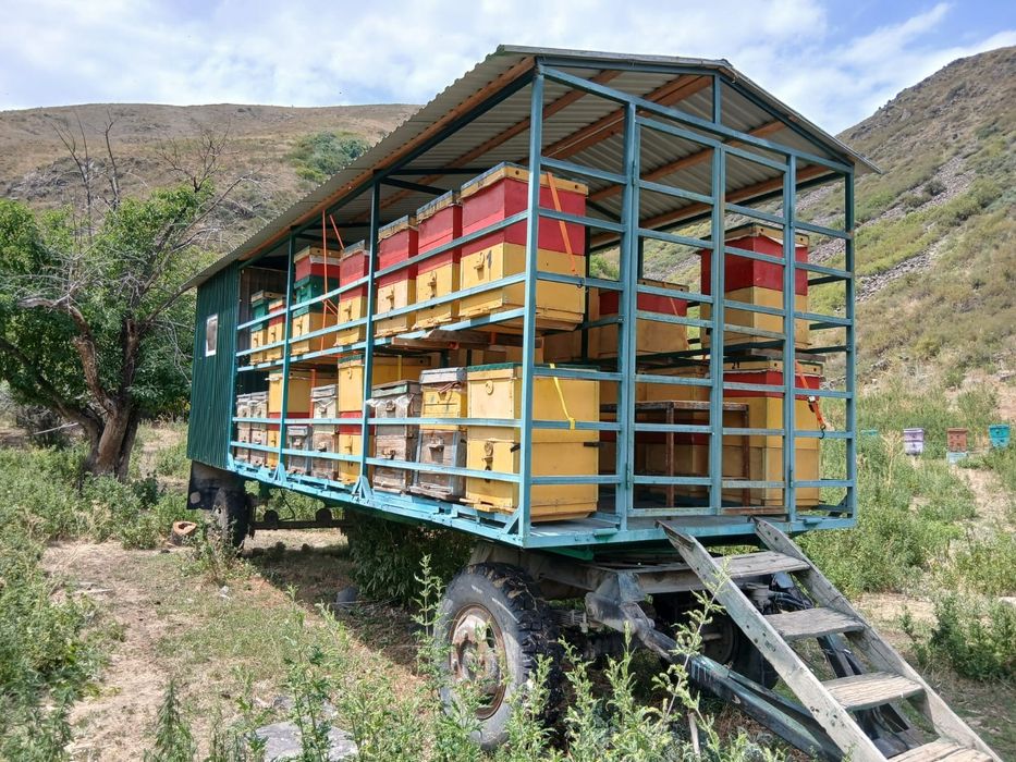 Пчела прицеп , ара таситын телешка