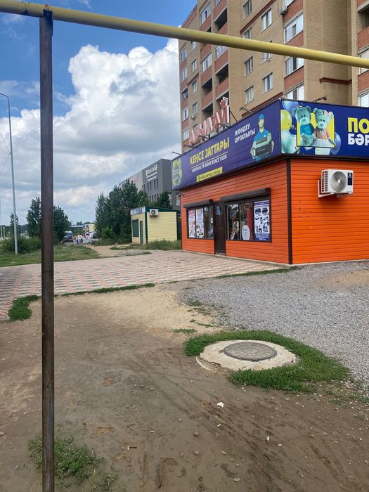 Мысық марғау актобе