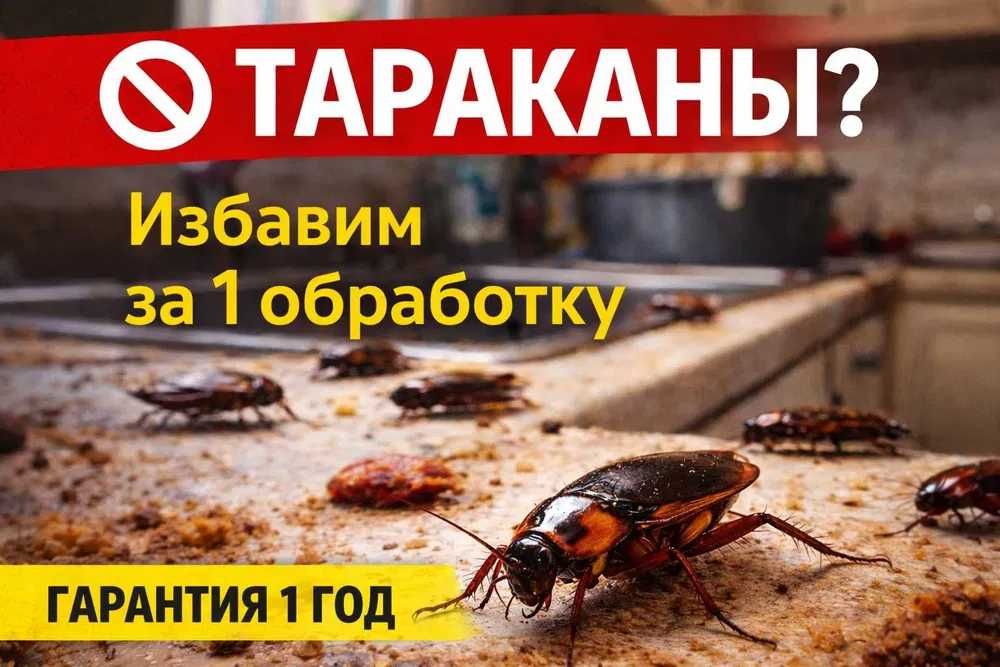 Дезинфекция Астана | Обработка квартир СЭС | Безопасно | Гарантия 100%