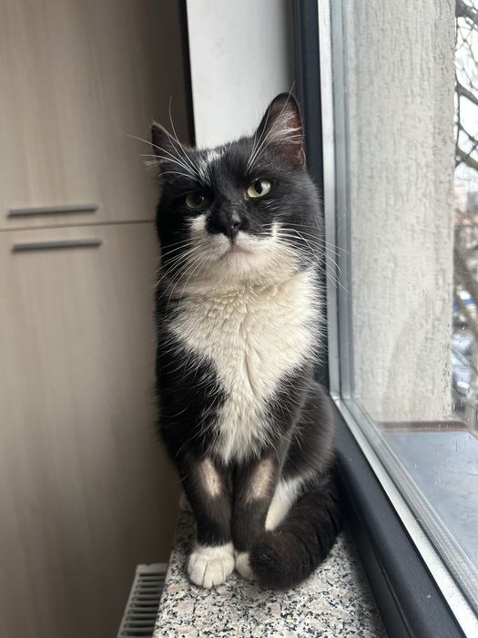 James Bond cauta casuta