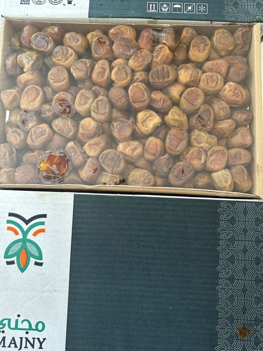 құрма суккари финики саудия