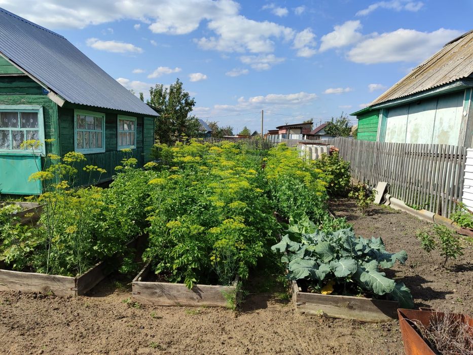 Продам дачу в новопавловке