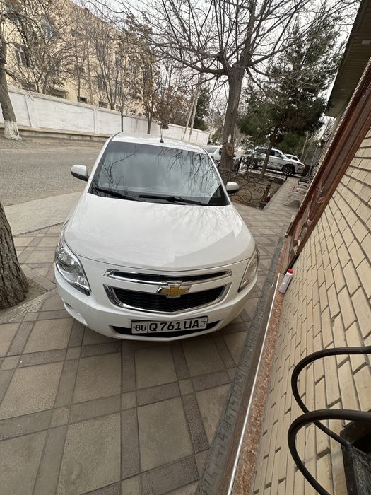 Викупга бошлангич туловбилан