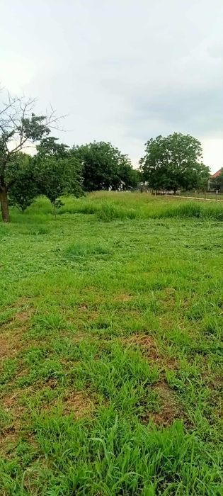 Casă in zonă viticola-Cuvin,  jud. Arad