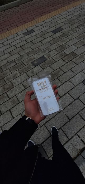 Chexol zashitnik 17 pro