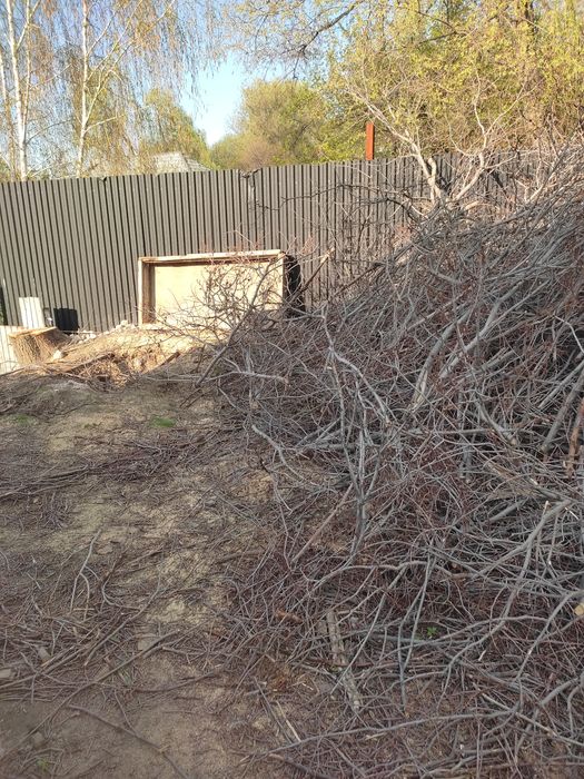 Дрова бесплатно сухие