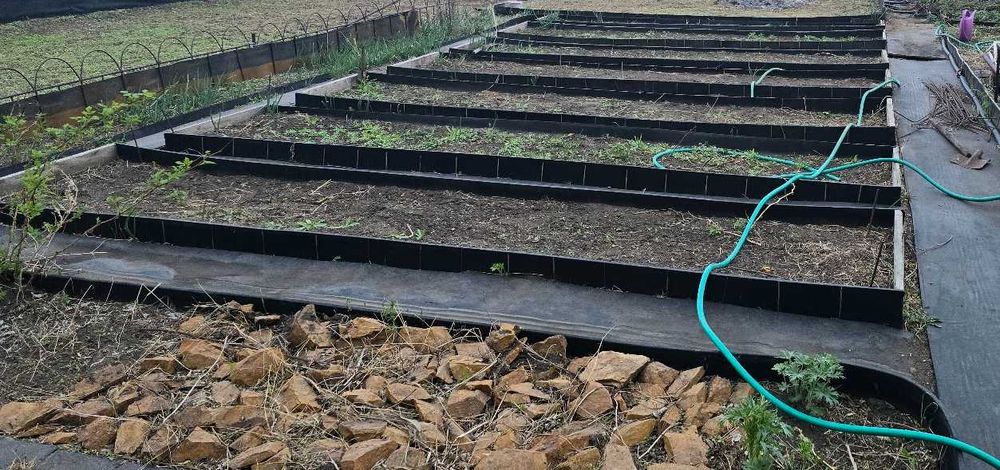 дачу продам сады 1