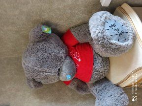 Teddy ойинчок янги биркаси билан