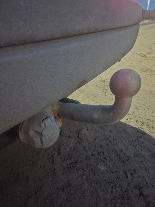 Продам живого пассата