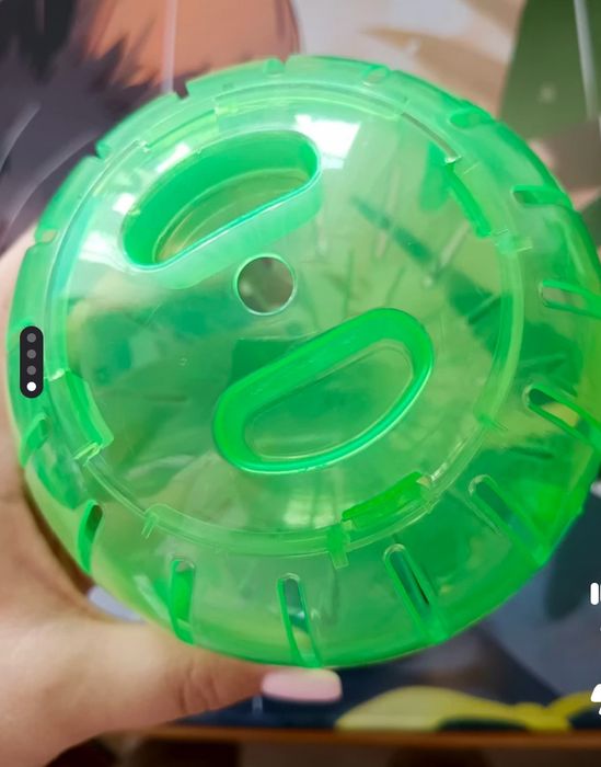 Продам хомячков 2 мальчика.