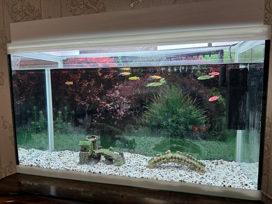 Продам аквариум с рыбками