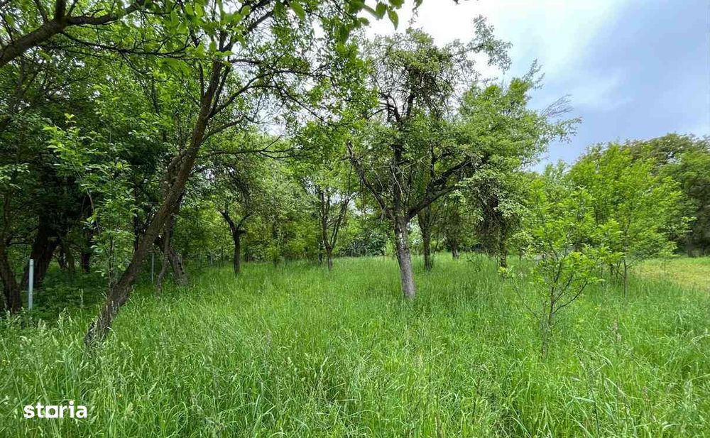 Viscri -Casă săsească autentică în Viscri (UNESCO) | Oportunitate rară