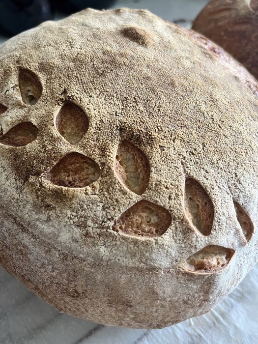 Закваска для домашнего хлеба