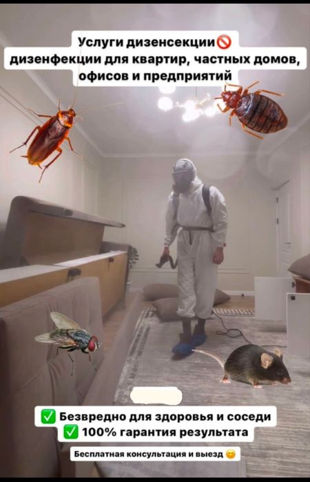 Уничтожение клопов и тараканов