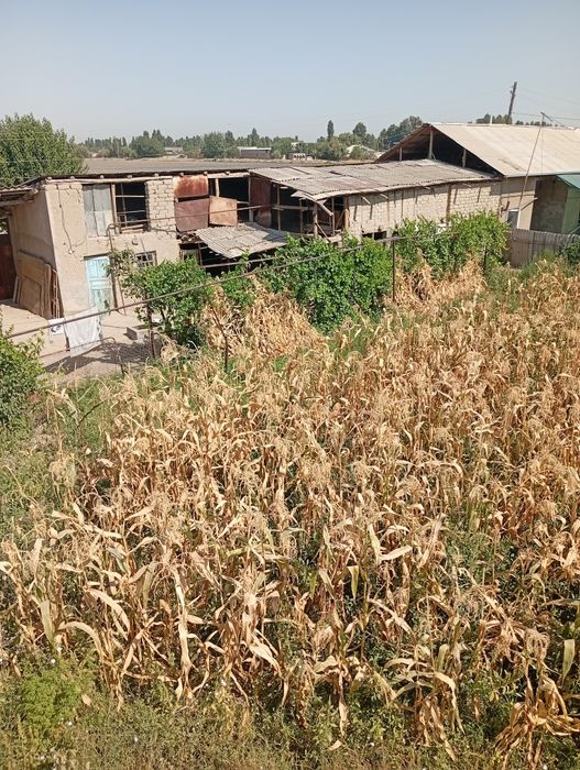 Yer sotiladi 4 sotik