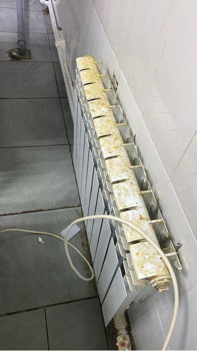 Клининг / Уборка домов и квартир