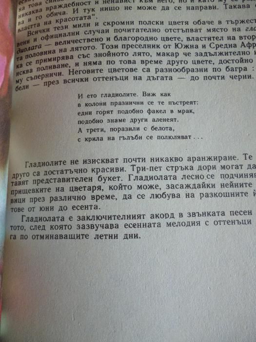 Дъга от цветя - Евгения Черней, Леонила Ширева