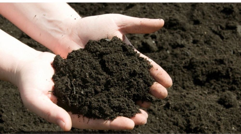 Чернозем для сада и огорода