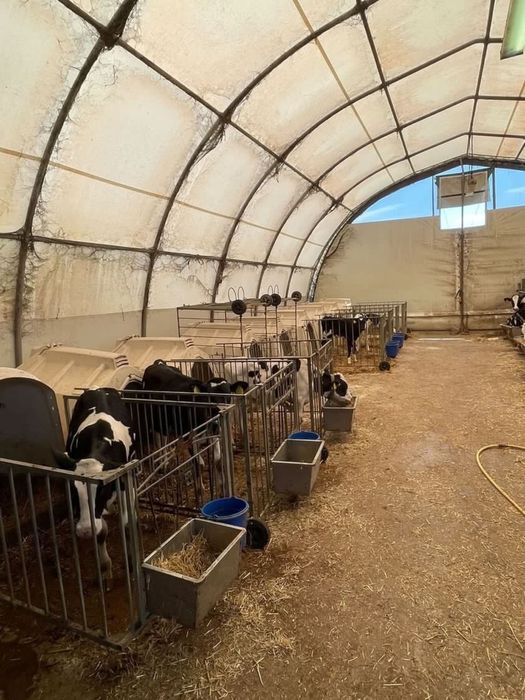 Продава се Земеделски имот в Димитровград -  кв.м за 153000 €/дка - Снимка #5