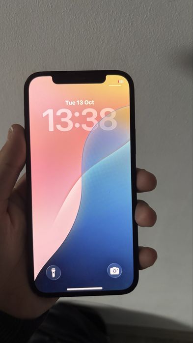 IPhone 12 spart pe spate