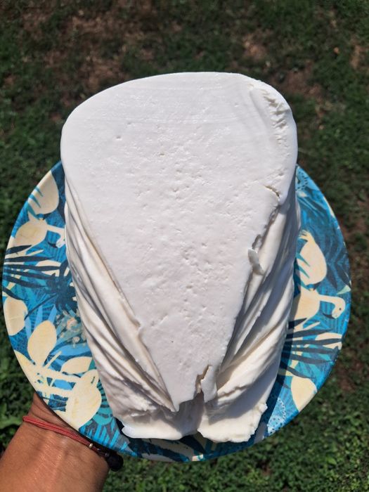 Домашно КОЗЕ  мляко,прясно сирене